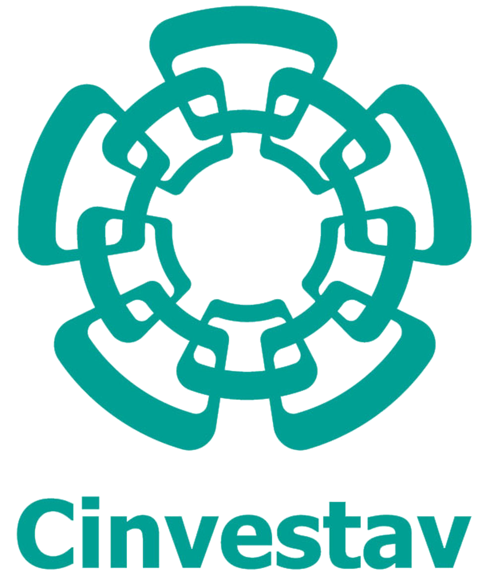 CINVESTAV