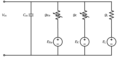 Equivalent circuit diagram of the Hodgkin-Huxley model. The membrane is represented as a capacitor separating two ionic solutions of different concentration. Conductances for sodium (g_{Na})