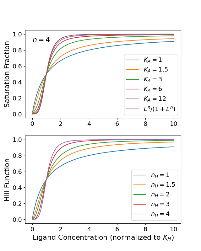 Top panel. Plots of the saturation fraction \sigma given by Eq.  For various finite cooperativity factors K_A and the limit K_A \to \infty. Bottom panel. Plots of the Hill function with growing Hill exponents up to n_H = 4.0.